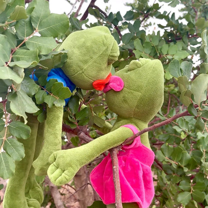 Pepe The Frog - Froggie