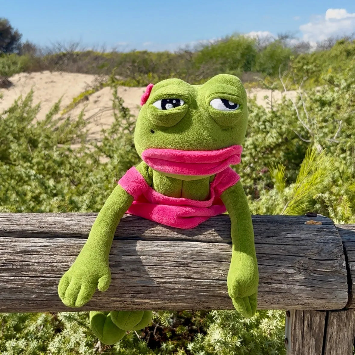 Pepe The Frog - Froggie